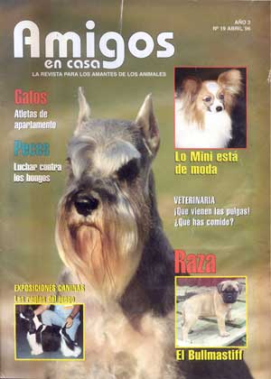 Articulos publicados por Christina de Lima-Netto, Castro-Castalia Bullmastiffs