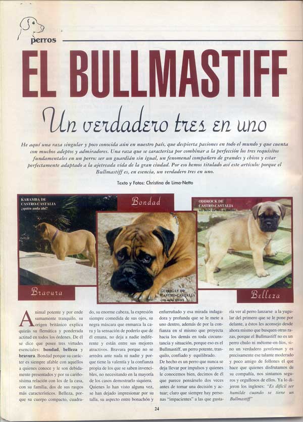 Raza Bullmastiff