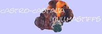 Castro-Castalia Bullmastiffs