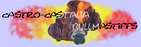 Castro-Castalia Bullmastiffs