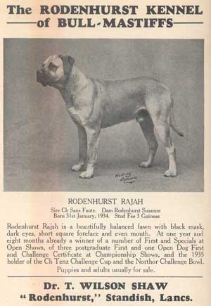 Bullmastiff History, Castro-Castalia Bullmastiffs