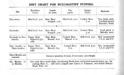 Mastiff Puppy Food Chart