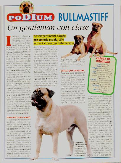 Articulos Bullmastiff, Castro-Castalia