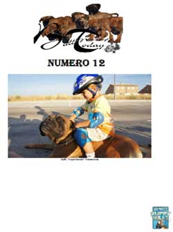 Bullmastiffs Today n 11 Bullmastiffs Today nº 12