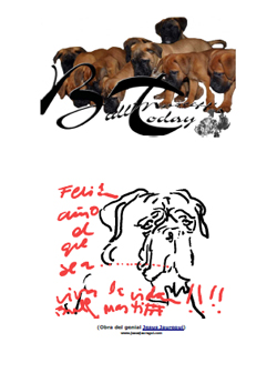Bullmastiffs Today n 3 Bullmastiffs Today nº 3