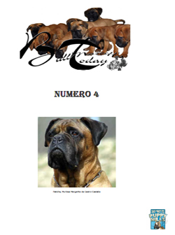 Bullmastiffs Today n 4 Bullmastiffs Today nº 4