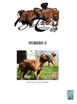 Bullmastiffs Today n 5 Bullmastiffs Today nº 5