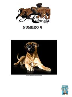 Bullmastiffs Today n 9 Bullmastiffs Today nº 9