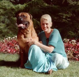 Como Escoger un Cachorro, Castro-Castalia Bullmastiffs Chris y Curro de castro-castalia