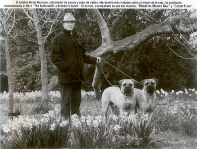 David Hancock, Castro-Castalia Bullmastiffs