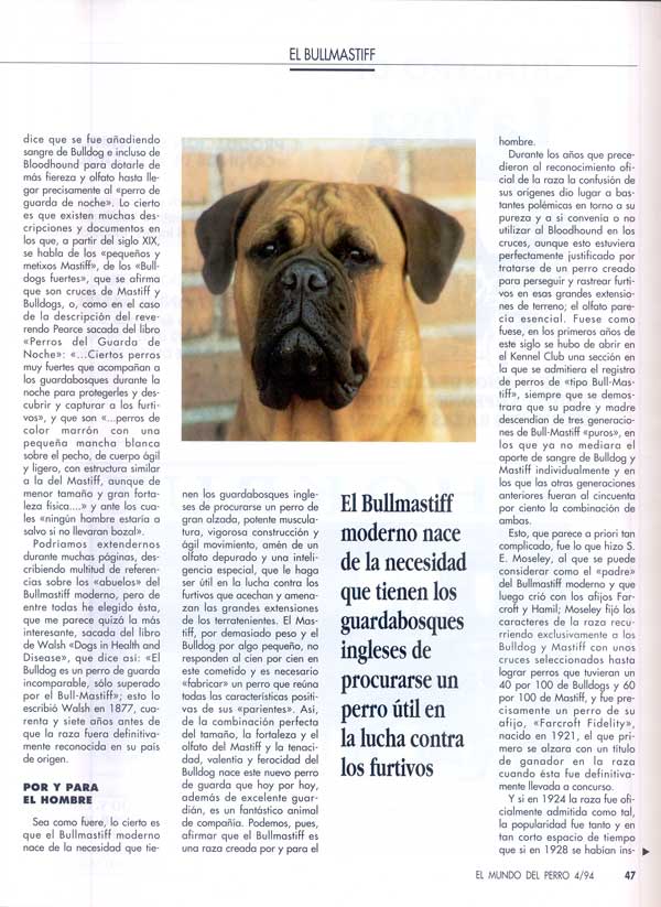 Articulos publicados por Christina de Lima-Netto, Castro-Castalia Bullmastiffs