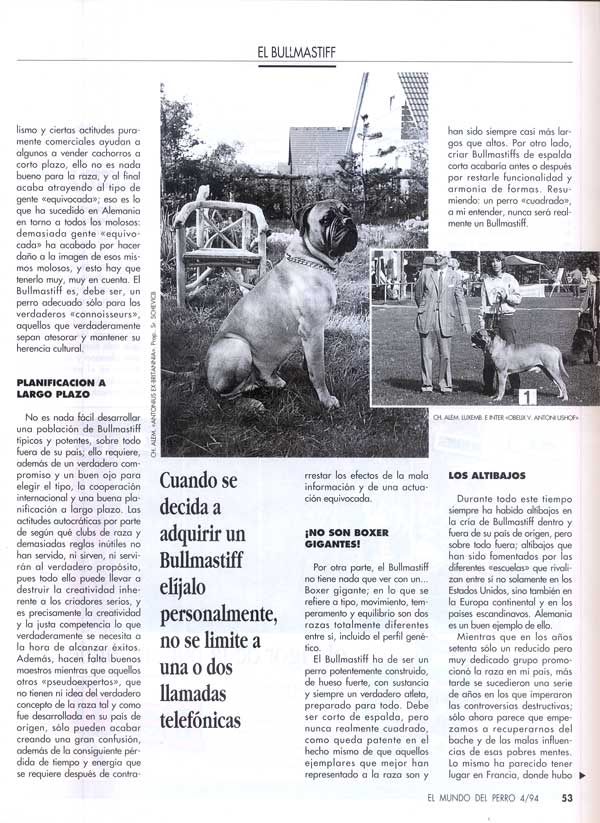 Articulos publicados por Christina de Lima-Netto, Castro-Castalia Bullmastiffs