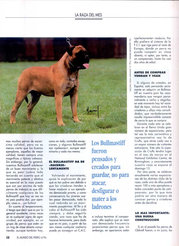 Articulos publicados por Christina de Lima-Netto, Castro-Castalia Bullmastiffs