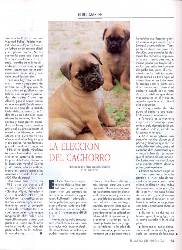 Articulos publicados por Christina de Lima-Netto, Castro-Castalia Bullmastiffs