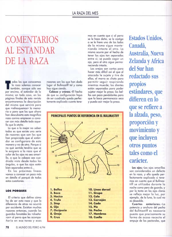 Articulos publicados por Christina de Lima-Netto, Castro-Castalia Bullmastiffs