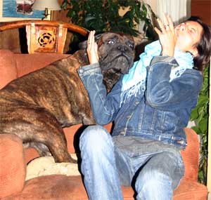 Convivencia, Castro-Castalia Bullmastiffs