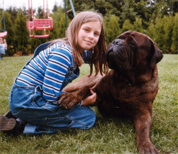 Castro-Castalia Bullmastiff