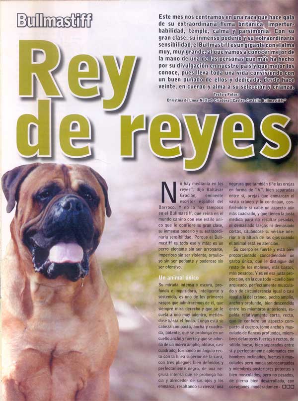 Articulos publicados por Christina de Lima-Netto, Castro-Castalia Bullmastiffs