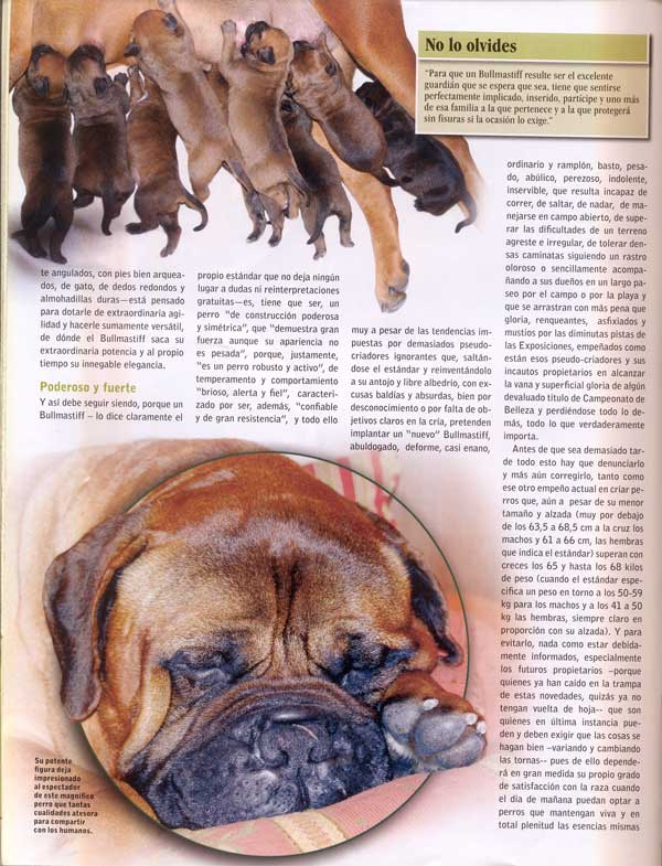 Articulos publicados por Christina de Lima-Netto, Castro-Castalia Bullmastiffs