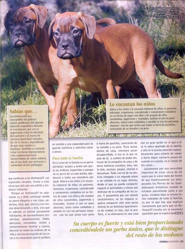 Articulos publicados por Christina de Lima-Netto, Castro-Castalia Bullmastiffs