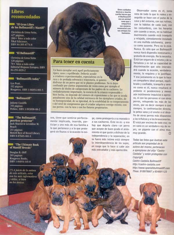 Articulos publicados por Christina de Lima-Netto, Castro-Castalia Bullmastiffs