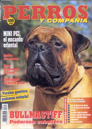 Articulos publicados por Christina de Lima-Netto, Castro-Castalia Bullmastiffs