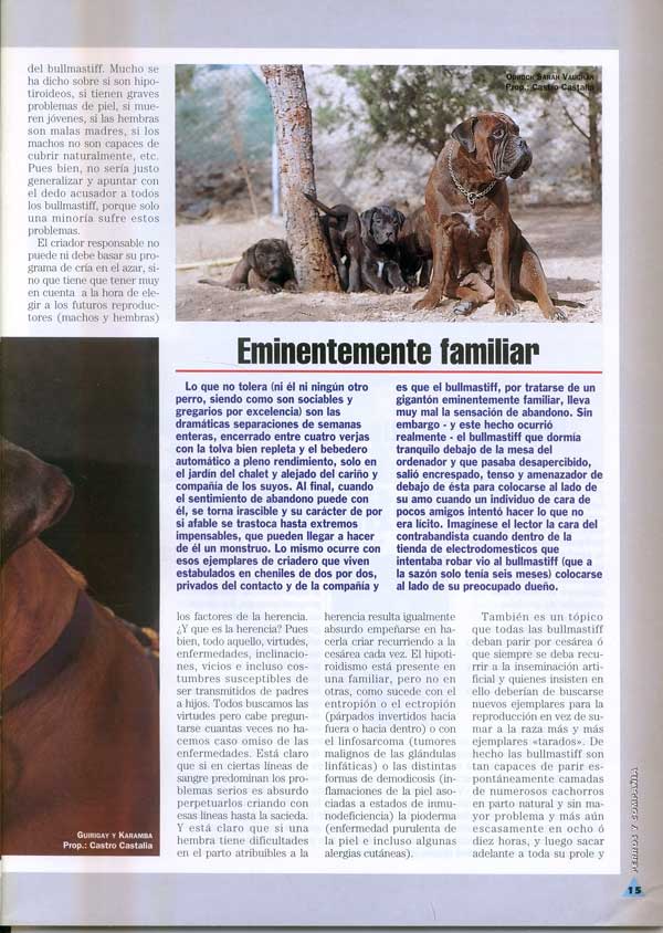 Bullmastiff, Poderoso Caballero