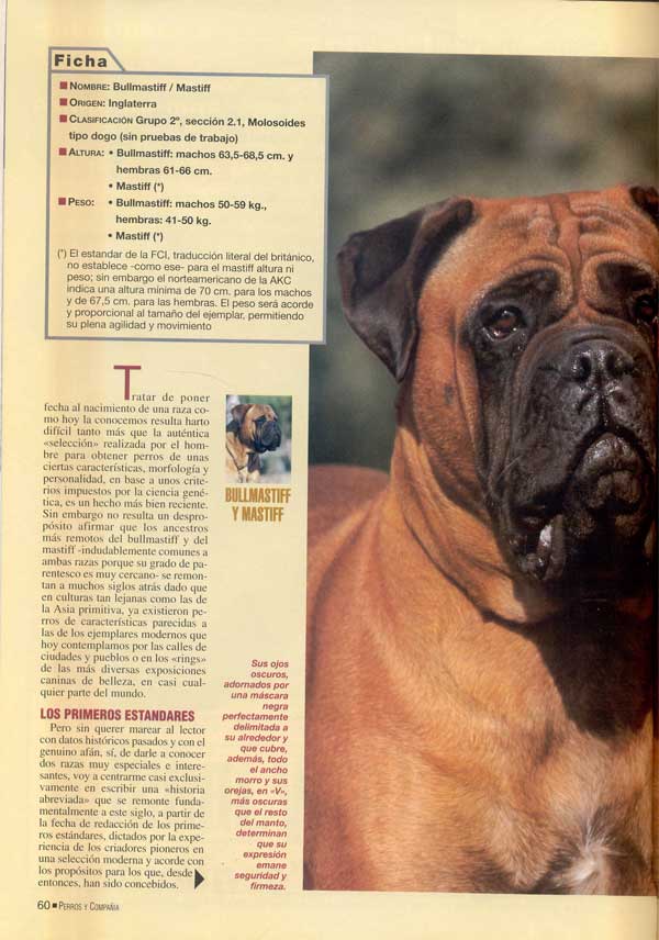 Mastiff y Bullmastiff, Dos Magnificos Gentleman