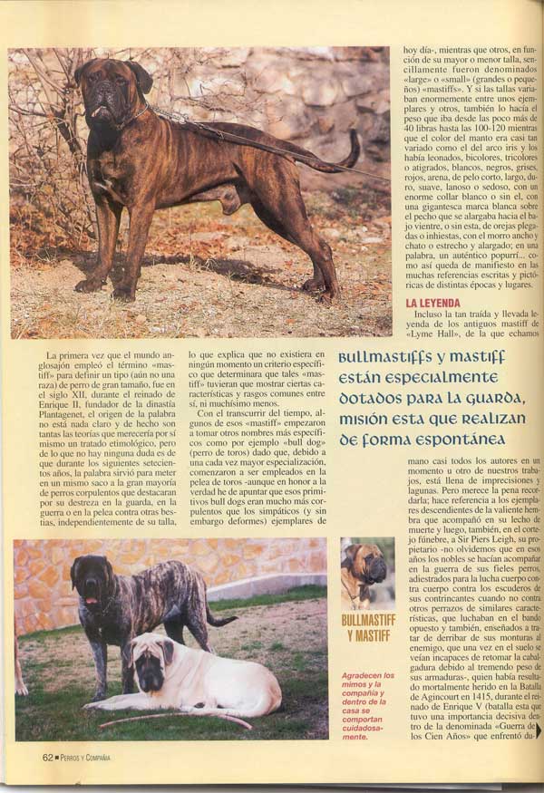 Mastiff y Bullmastiff, Dos Magnificos Gentleman