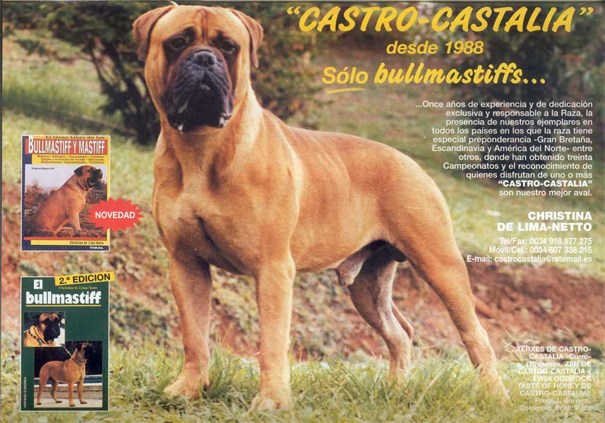 Mastiff y Bullmastiff, Dos Magnificos Gentleman