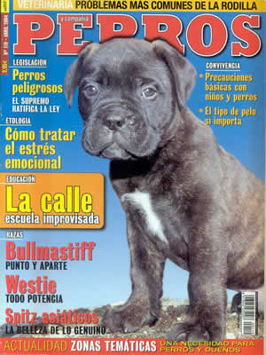 Bullmastiff, Punto y Aparte, Castro-Castalia Bullmastiffs