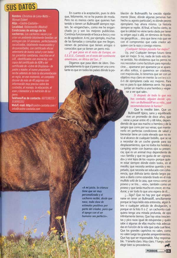 Bullmastiff, Punto y Aparte, Castro-Castalia Bullmastiffs