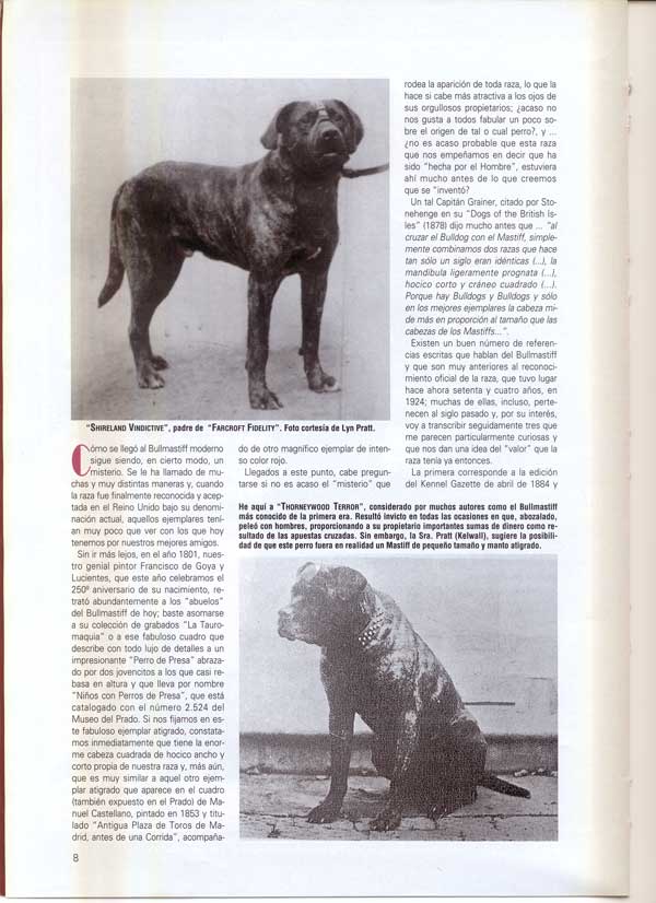 Articulos publicados por Christina de Lima-Netto, Castro-Castalia Bullmastiffs