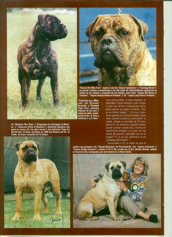 Articulos publicados por Christina de Lima-Netto, Castro-Castalia Bullmastiffs