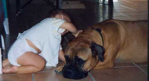 Anecdotas de Castro-Castalia Bullmastiffs, Terra, la reina de las alturas, Castro-Castalia Bullmastiffs