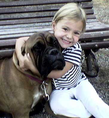 Castro-Castalia Bullmastiff