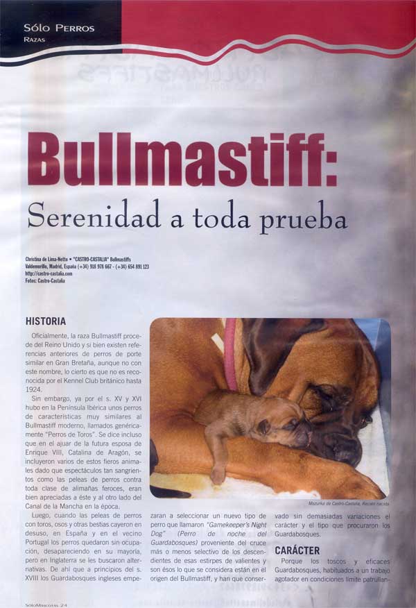 Articulos publicados por Christina de Lima-Netto, Castro-Castalia Bullmastiffs