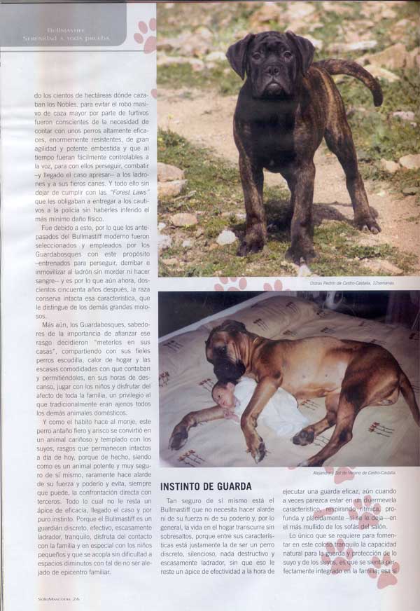 Articulos publicados por Christina de Lima-Netto, Castro-Castalia Bullmastiffs