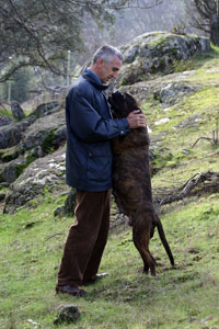 Lealtad y Heroismo caninos, Castro-Castalia Bullmastiffs