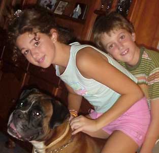 Anecdotas de Castro-Castalia Bullmastiffs, Zarco, el boxer que queria ser mandon, Castro-Castalia Bullmastiffs